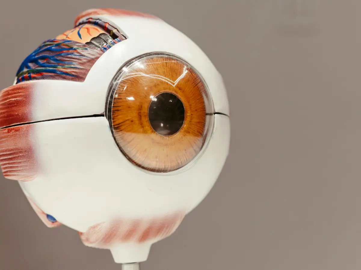 Refractive Eye Surgery In Thane